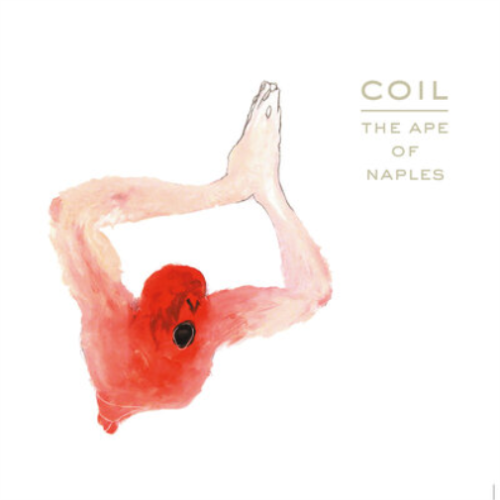COIL - The Ape Of Naples