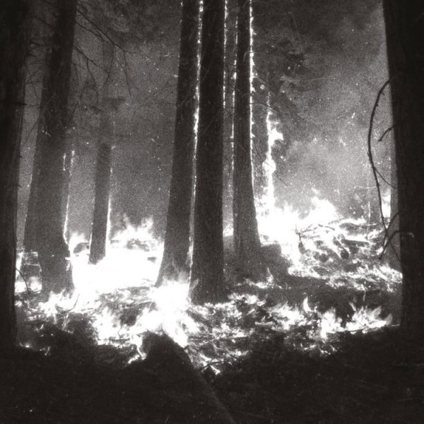 DEN SORTE DOD - Undergangen