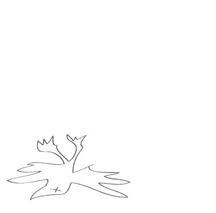 O PARADIS - Tierra Embrujada