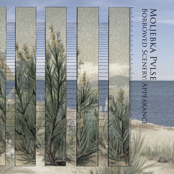 MOLJEBKA PULSE - Borrowed Scenery Appearance