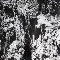 DEN SORTE DOD - Same