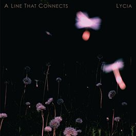 LYCIA - A Line That Connects