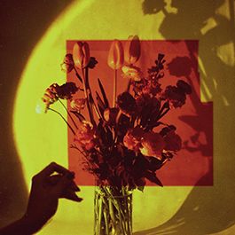 SELFISHADOWS - Everything Changes