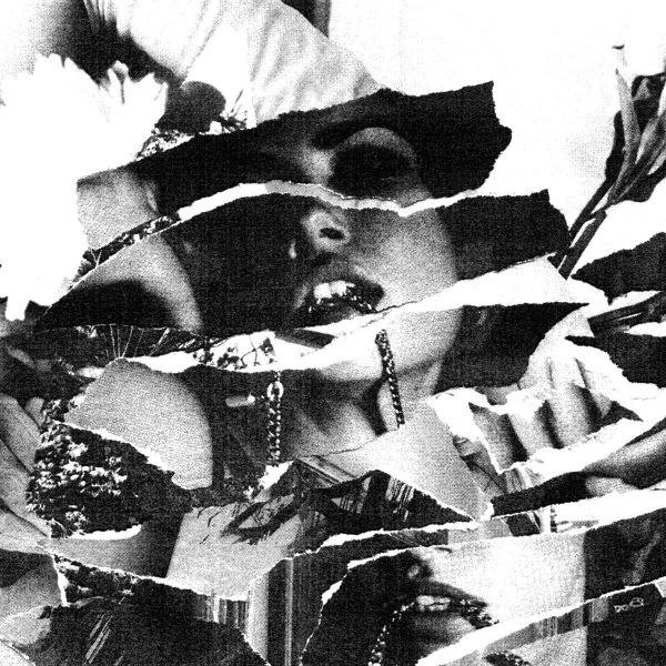 FOREVER GREY - Sympathy Garden