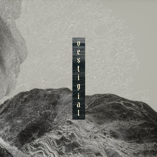 VESTIGIAL - Descending Vastness