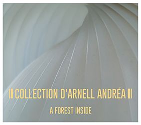 COLLECTION D'ARNELL ANDREA - A Forest Inside