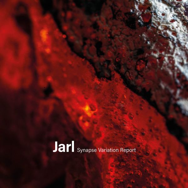 JARL - Synapse Variation Report