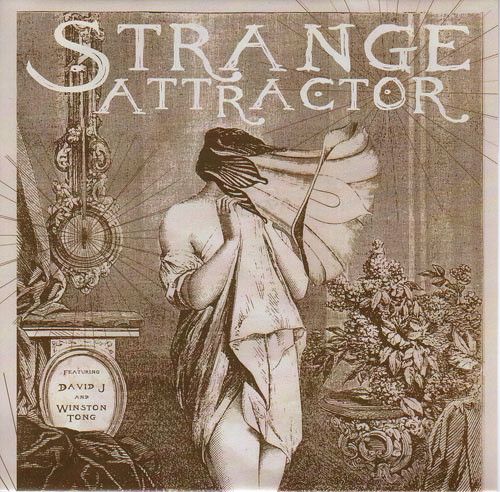 STRANGE ATTRACTOR feat. David J & Winston Tong - The Unperceived Image